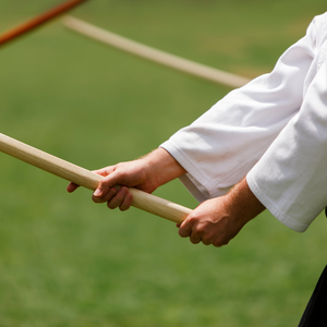 Deux personnes qui font de l'aikido avec des batons