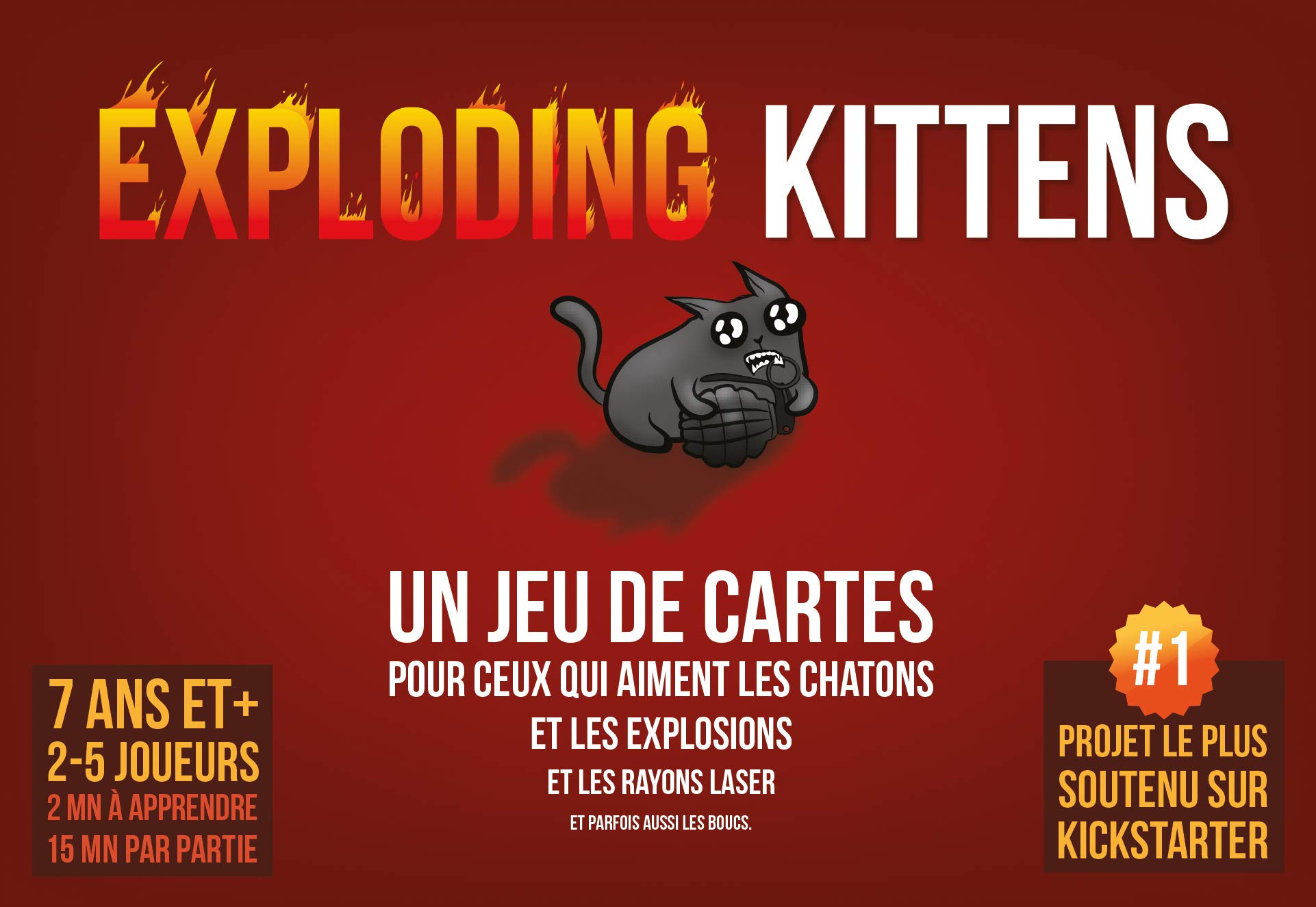 Image d'un chat avec une grenade