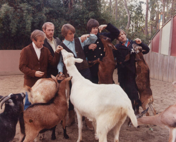 Pet Sounds