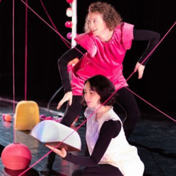 détails sur le spectacle Rosie