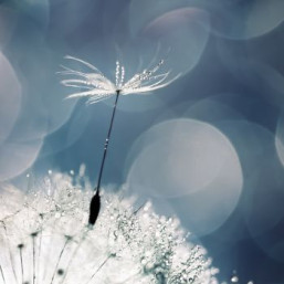 détails sur la rencontre Un dernier vers pour la route