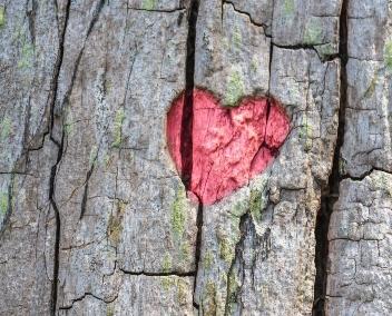 Cœur rouge gravé dans le bois