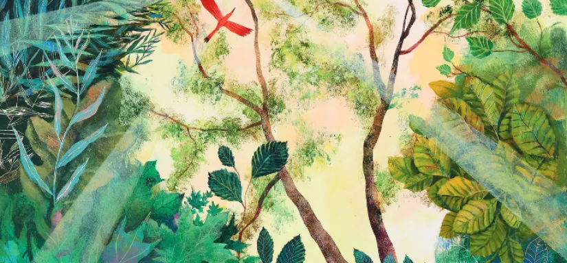 Illustration d'une foret avec des oiseaux