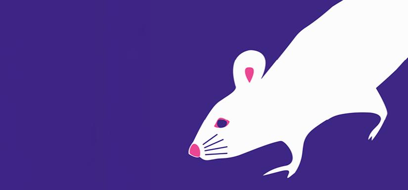 Illustration de Lucie Félix Une souris blanche sur fond violet